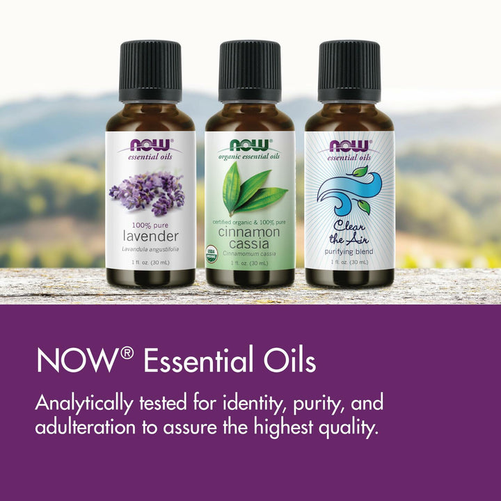 NOW Essential Oils, Seasonal Changes Balancing Aromatherapy Kit, 4x10ml Including Tea Tree, Eucalyptus Radiata, Clear the Air and Nature’s Shield Oil Blend With Child Resistant Caps - The Oasis of Health