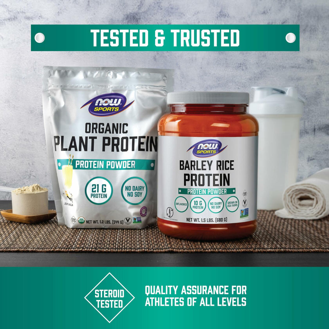 NOW Sports, Barley Rice Protein Powder, Unflavored, Highly Sustainable, 10 Grams Protein, 1.5 lbs. - The Oasis of Health