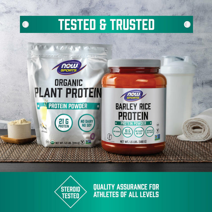 NOW Sports, Barley Rice Protein Powder, Unflavored, Highly Sustainable, 10 Grams Protein, 1.5 lbs. - The Oasis of Health