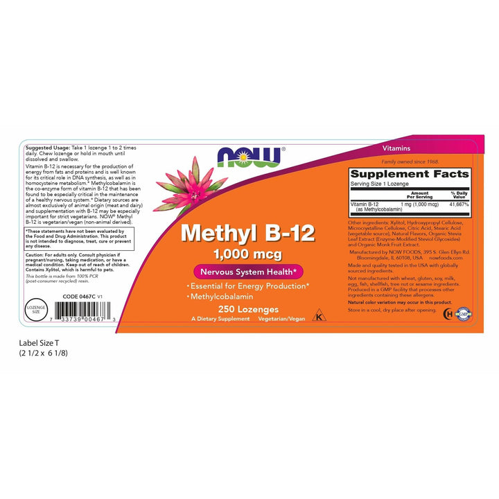 NOW Supplements, Methyl B-12 (Methylcobalamin) 1,000 mcg, Nervous System Health*, 250 Lozenges - The Oasis of Health