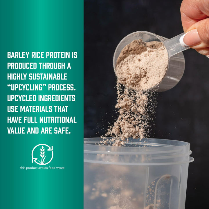 NOW Sports, Barley Rice Protein Powder, Unflavored, Highly Sustainable, 10 Grams Protein, 1.5 lbs. - The Oasis of Health
