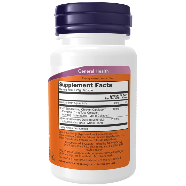 Now Foods UC-II Type II Collagen 60 Vcaps - 3134 - The Oasis of Health