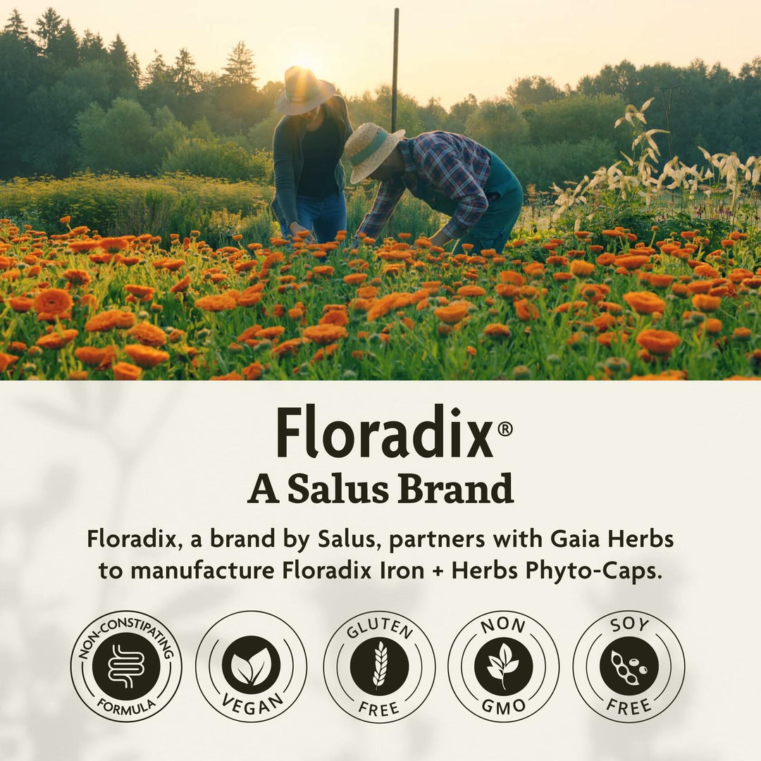 Floradix Iron + Herbs - Iron Supplement for Healthy Energy Support* - Supports Red Blood Cell Formation - Vegan, Non-GMO, Gluten-Free, Soy-Free - 120 Liquid Phyto-Caps - The Oasis of Health