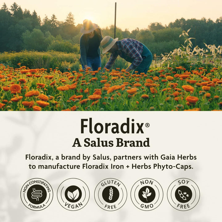 Floradix Iron + Herbs - Iron Supplement for Healthy Energy Support* - Supports Red Blood Cell Formation - Vegan, Non-GMO, Gluten-Free, Soy-Free - 120 Liquid Phyto-Caps - The Oasis of Health