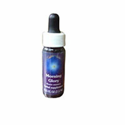 Flower Essence Services Morning Glory Dropper, 0.25 oz (Pack of 2) - The Oasis of Health