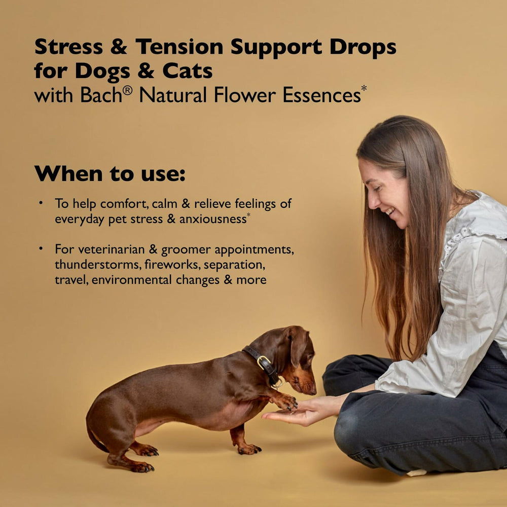 Bach - Rescue Remedy Natural Stress Relief For Pets - 20ml - 2 Pack - The Oasis of Health