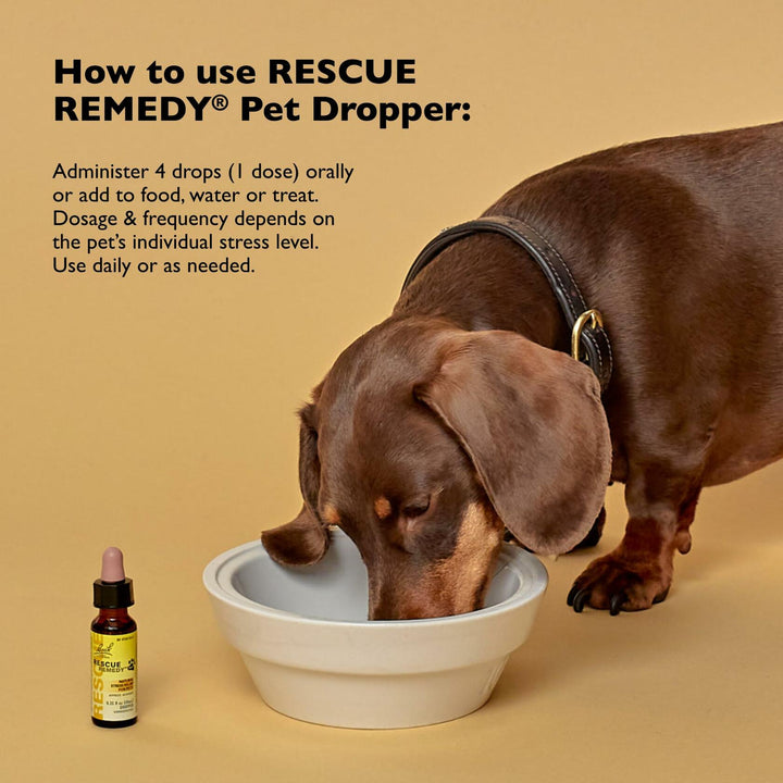 Bach - Rescue Remedy Natural Stress Relief For Pets - 20ml - 2 Pack - The Oasis of Health