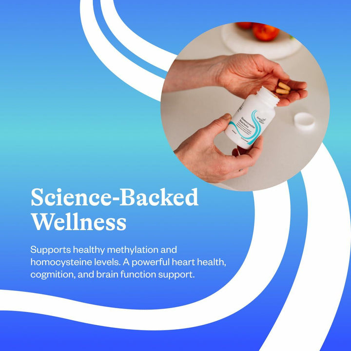 Seeking Health Homocysteine Nutrients - Supplement Formula with L-Methylfolate &amp; Vitamin B12, B6 &amp; B2 - Supports Healthy Cognition &amp; Brain Function - Aids Homocysteine Metabolism - 60 Capsules - The Oasis of Health
