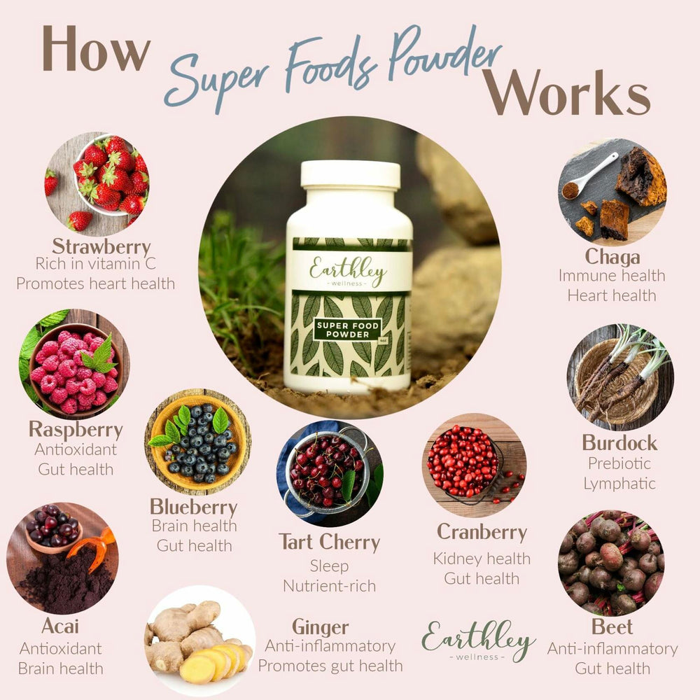 Earthley Wellness Super Foods Powder, Organic Berry Blend with Ginger, Burdock Root, Chaga Mushroom, Prebiotics, Antioxidants, and Gut Health Support for Immune, Heart, and Sleep Health (4 oz) - The Oasis of Health