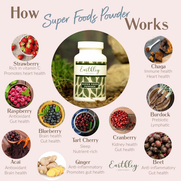 Earthley Wellness Super Foods Powder, Organic Berry Blend with Ginger, Burdock Root, Chaga Mushroom, Prebiotics, Antioxidants, and Gut Health Support for Immune, Heart, and Sleep Health (4 oz) - The Oasis of Health