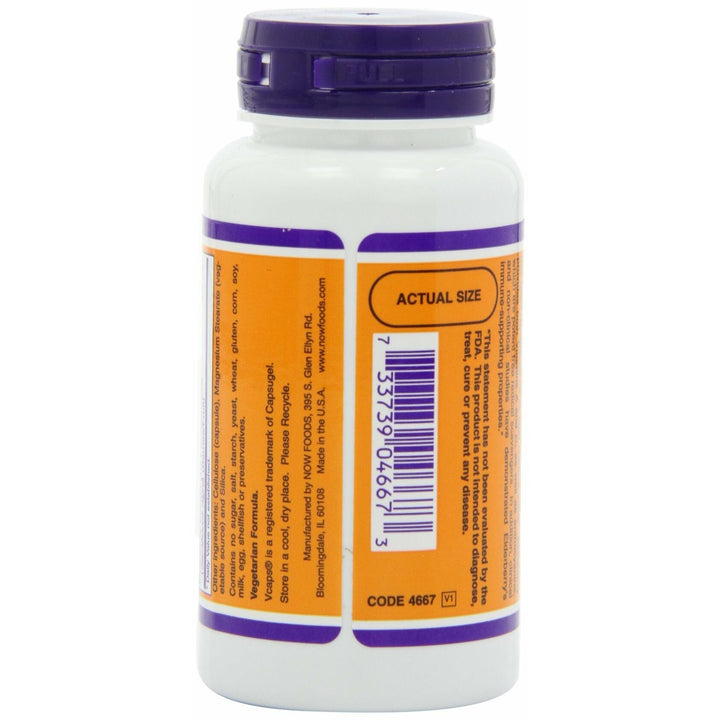 Now Foods Elderberry 500 Milligrams, 60 Veg Capsules (Pack of 2) - The Oasis of Health