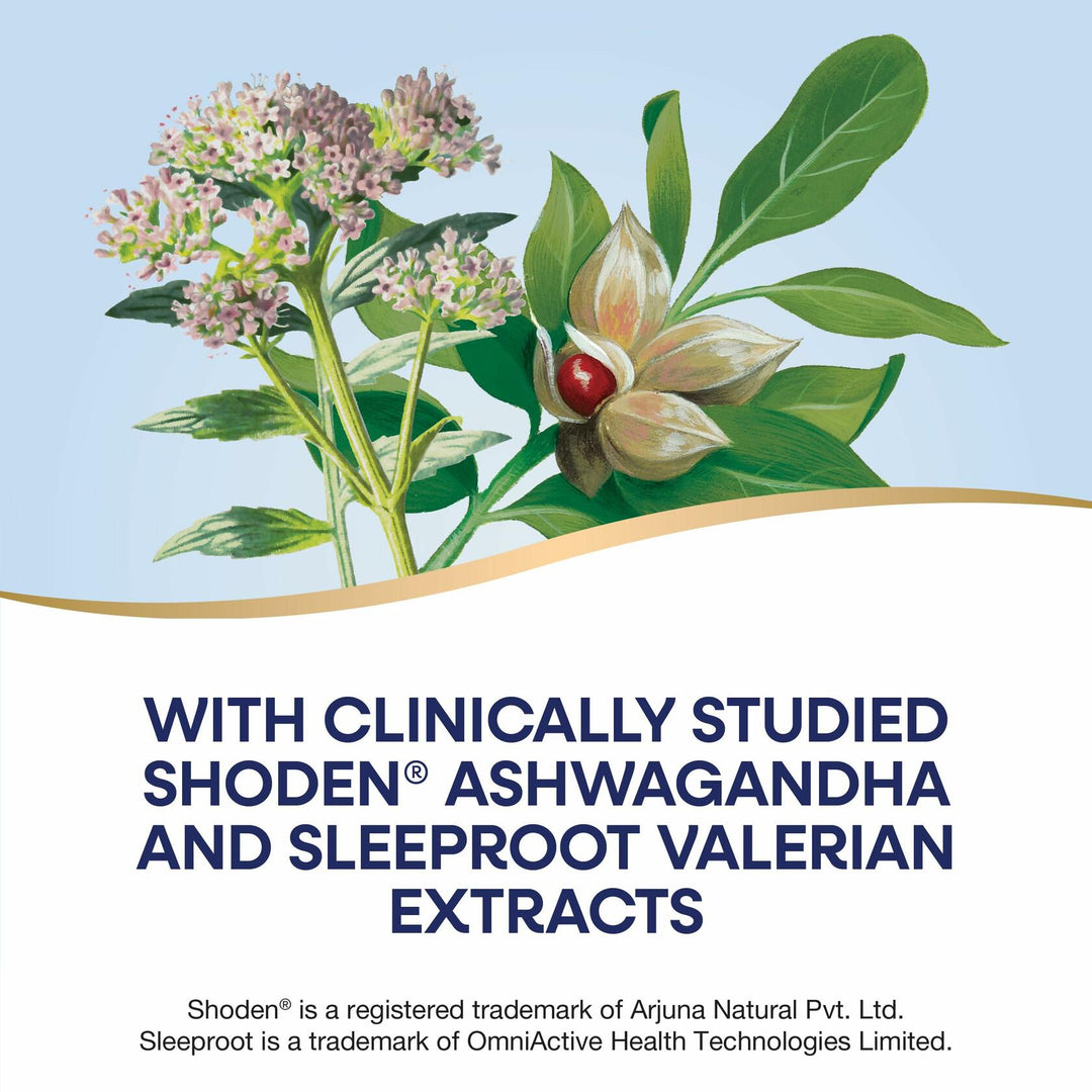 Nature’s Way Rest &amp; Restore, Melatonin-Free Sleep Supplement*, with Ashwagandha, Valerian, Vegan, 30 Capsules - The Oasis of Health