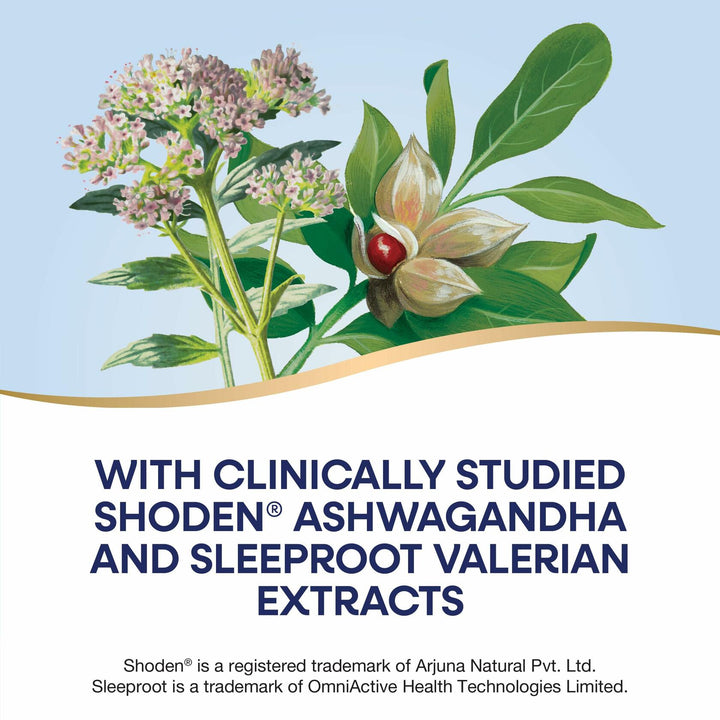 Nature’s Way Rest &amp; Restore, Melatonin-Free Sleep Supplement*, with Ashwagandha, Valerian, Vegan, 30 Capsules - The Oasis of Health