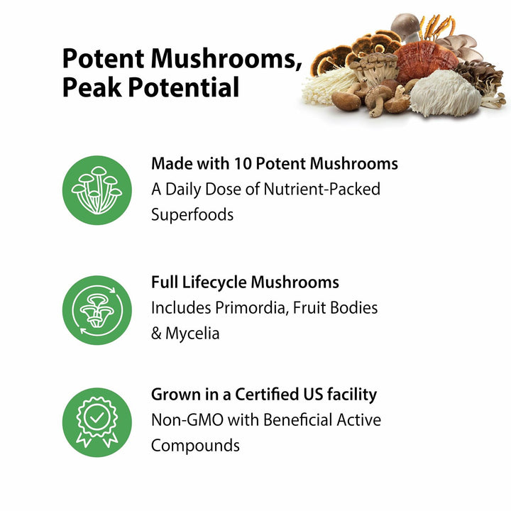 Rainbow Light Mushroom Power Supplement | 60 Capsules | Complex Made with 10 Potent Mushrooms | Includes Lions Mane, Chaga, Shiitake, Reishi &amp; More | Non-GMO and Gluten Free - The Oasis of Health