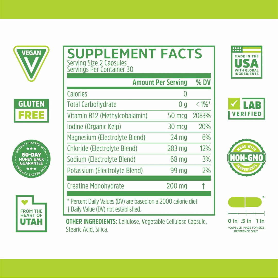 ZHOU Fast Support - Fasting Electrolytes No Sugar, Fasting Salts Supplement for Intermittent Fasting for Women &amp; Men with Magnesium, Sodium Chloride &amp; Potassium - 60 Veggie Capsules