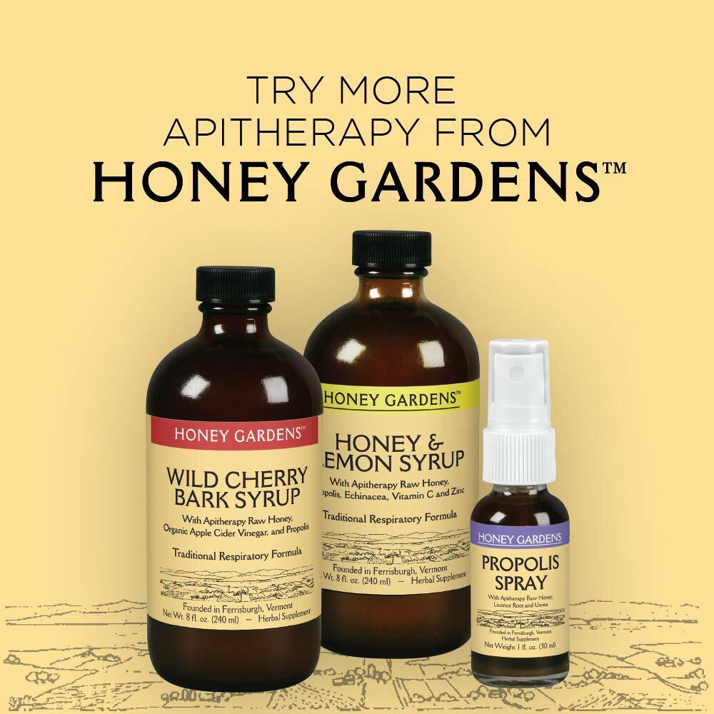 Honey Gardens Elderberry Syrup with Grade A Raw Honey, Propolis, Organic ACV &amp; Elderberries | Traditional Immune Formula w/Echinacea | Made in The USA (4oz, 2pk)