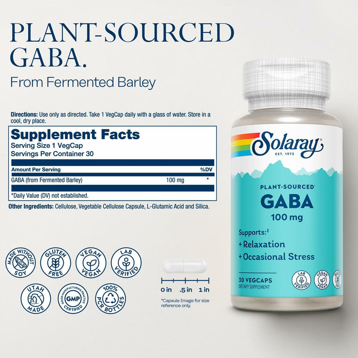 SOLARAY Plant-Sourced GABA 100 mg - Relaxation, Occasional Stress and Mood Support Supplement from Fermented Barley - Vegan, Gluten Free - 60-Day Guarantee - 30 Servings, 30 VegCaps