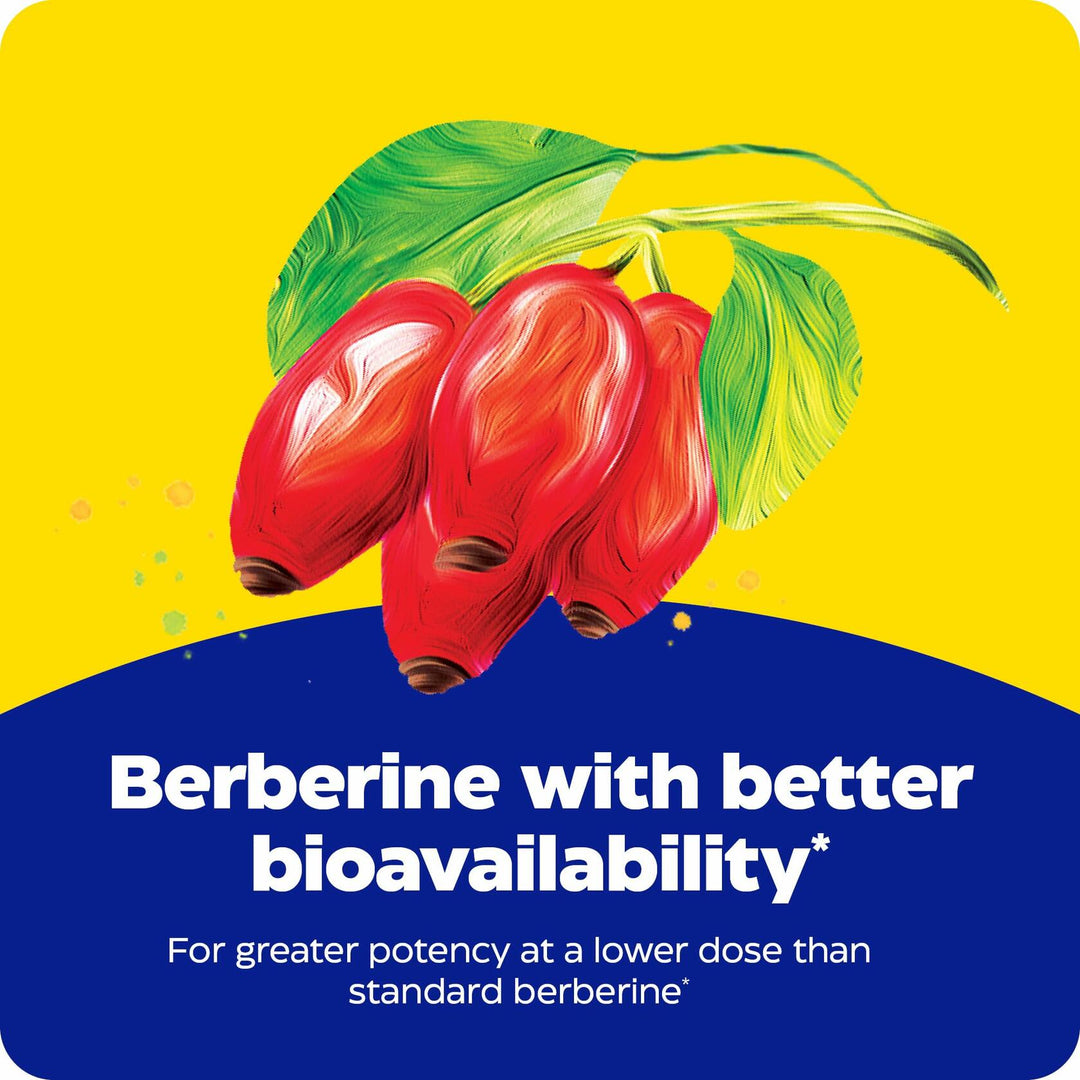 Enzymedica Berberine Phytosome High Absorption Supplement - Berbevis Berberine Phytosome Capsules for Men &amp; Women, Bioavailable Formula, Natural Metabolic Health Support, Vegan, Gluten Free - 60 Caps