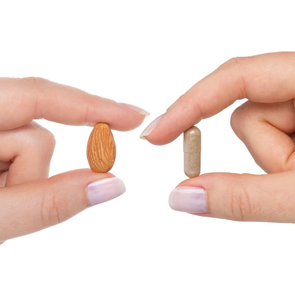 Seeking Health Stress Nutrients, Formerly Adrenal Nutrients, Adrenal Support Supplement, Healthy Cortisol Regulation and Normal Stress Response Support (90 Capsules)*