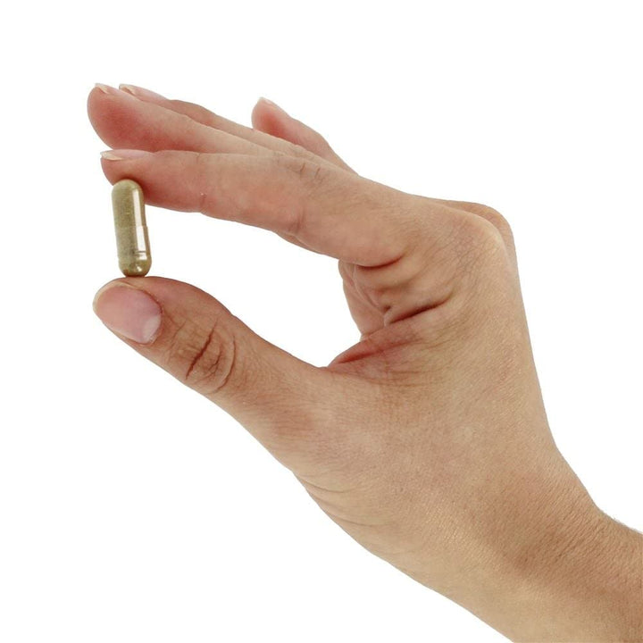 Organic India Joy 90 Vcaps - OR0035 - The Oasis of Health