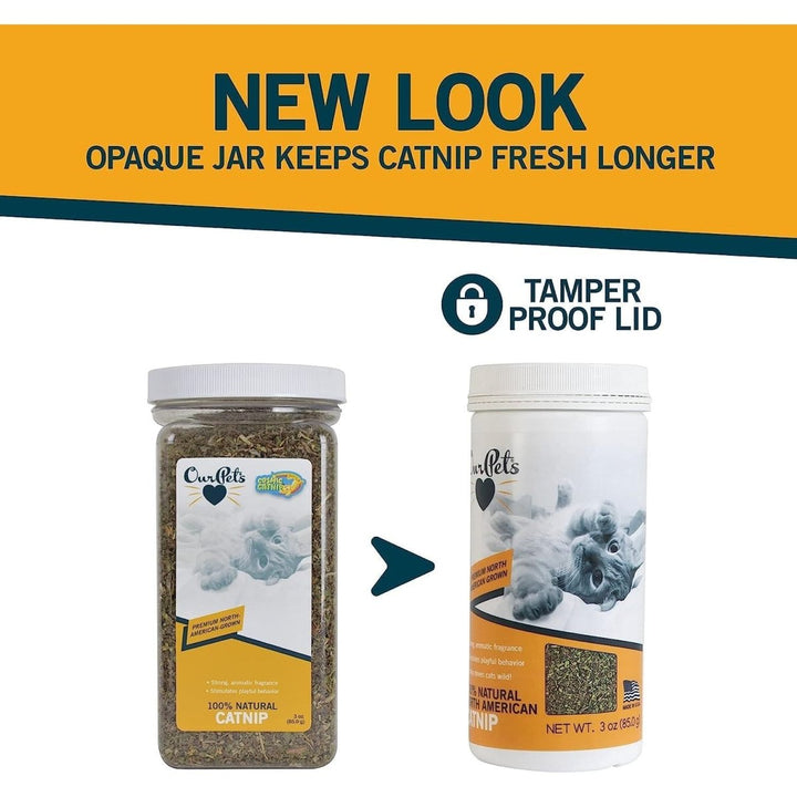 OurPets Cosmic Catnip 3.5 oz - CC11694 - The Oasis of Health