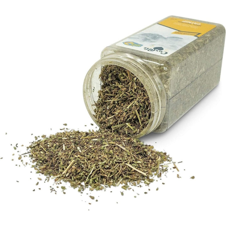 OurPets Cosmic Catnip 3.5 oz - CC11694 - The Oasis of Health