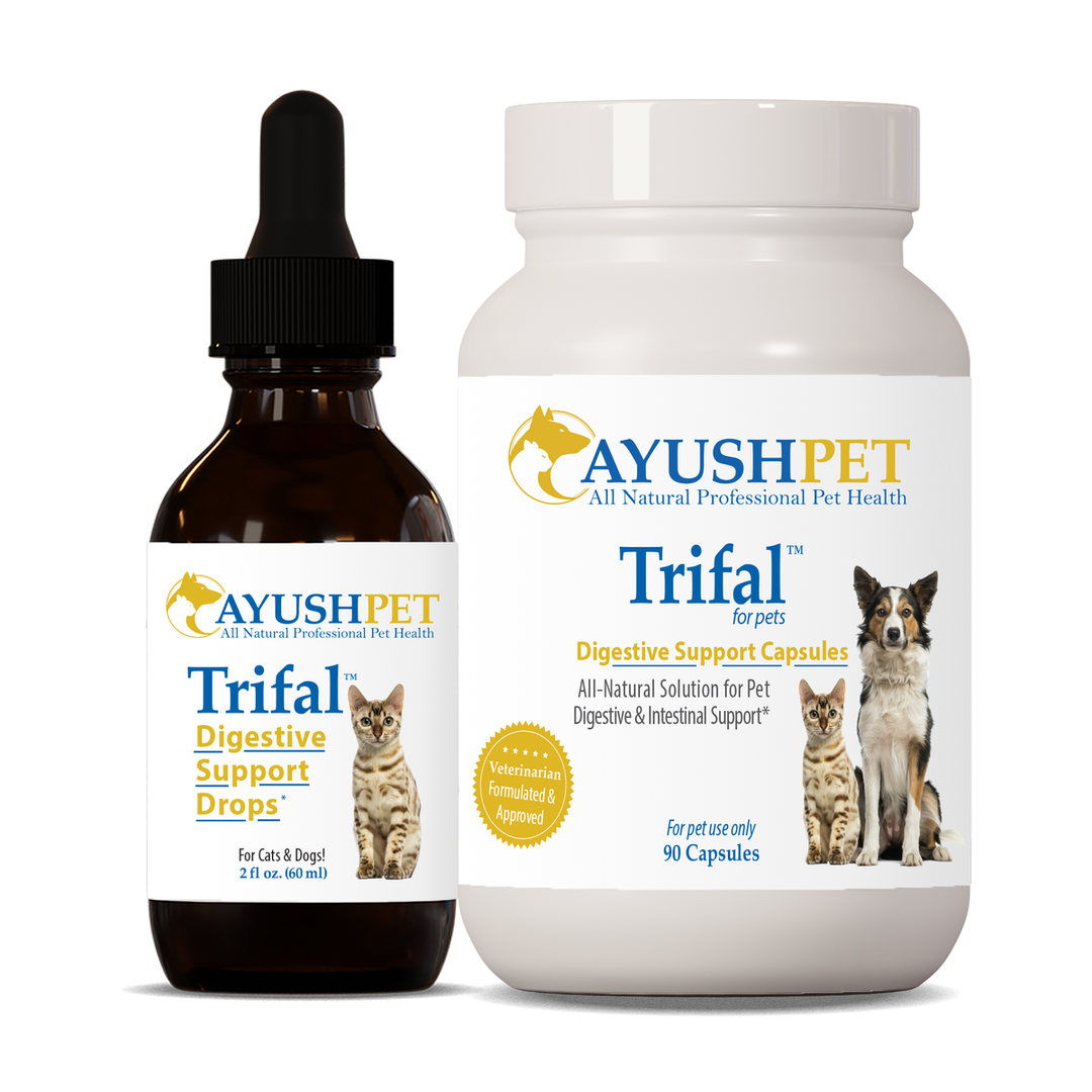 Ayush Herbs Trifal Digestive Support Pet 90 Tablets