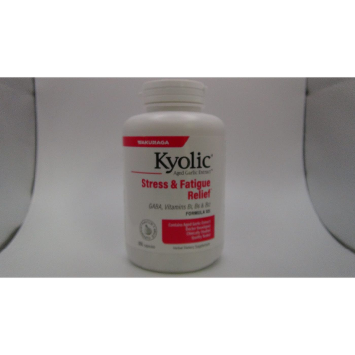 Kyolic - Kyolic Aged Garlic Extract Curcumin - 100 Capsules