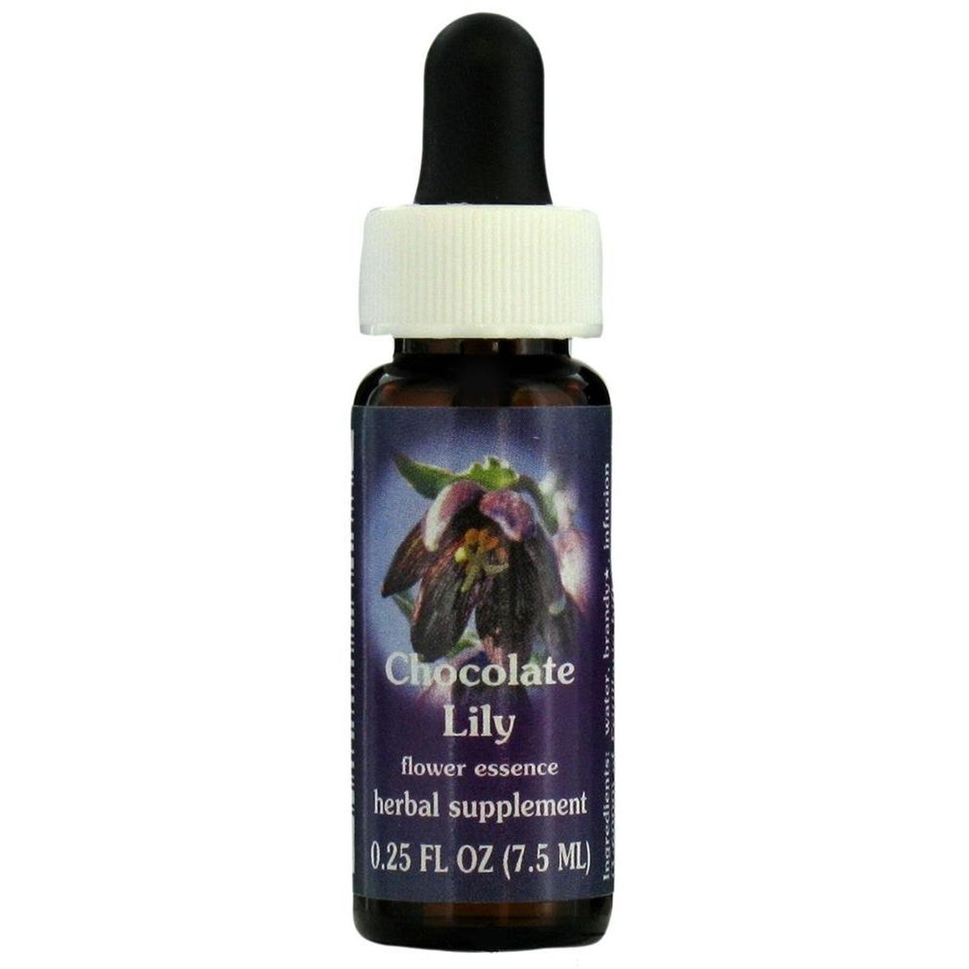 Chocolate Lily Dropper 0.25 Ounces