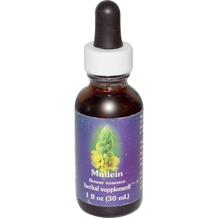 Scotch Broom Dropper 1 Ounces