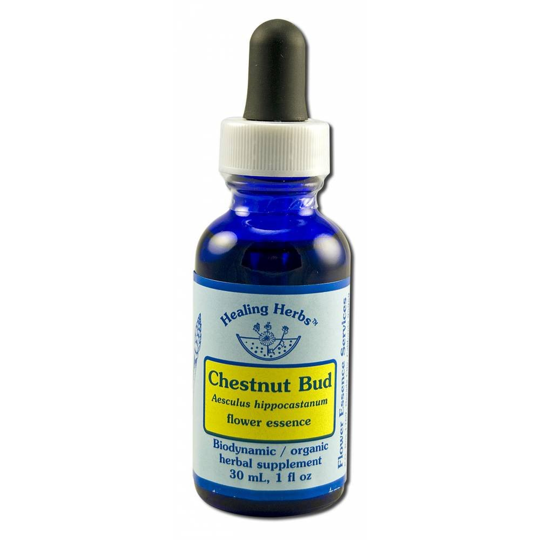 Flower Essence Services Dropper Herbal Supplements, Chestnut Bud, 1 Ounce