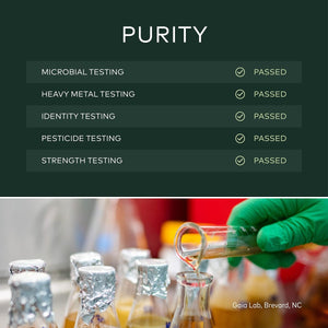 Pre - order Gaia Herbs Plant Force Liquid Iron - Vegetarian Iron Supplement to Help Maintain Healthy Iron & Energy Levels - with Star Anise, Sea Buckthorn, Beet Root, Dandelion & Nettle - 16 Fl Oz (47 Servings) - The Oasis of Health