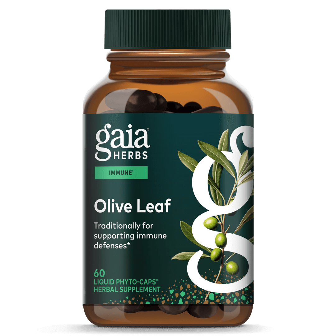 Gaia Herbs Olive Leaf - Traditional Immune Health Support - Immune System Supplement with Olive Leaf Extract and Oleuropein - 120 Vegan Liquid Phyto-Caps