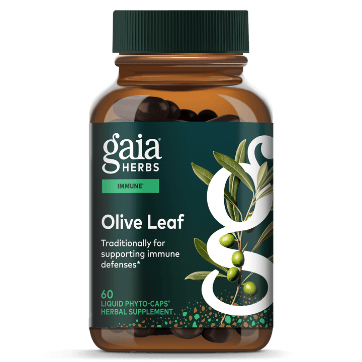 Gaia Herbs Olive Leaf - Traditional Immune Health Support - Immune System Supplement with Olive Leaf Extract and Oleuropein - 120 Vegan Liquid Phyto-Caps
