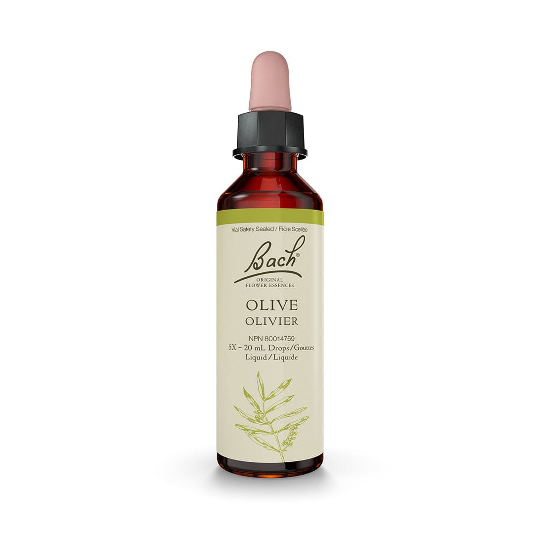Bach Olive 2 Pack