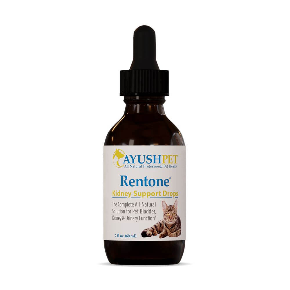 Ayush Herbs Rentone Drops Pet Supplement 2oz