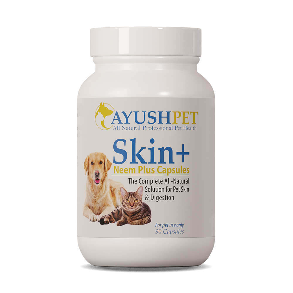 Ayush Herbs Neem Plus Pet 90 Capsules