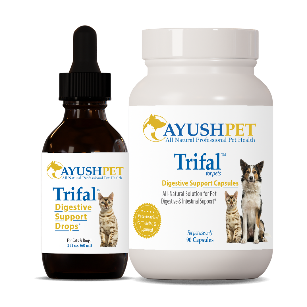 Ayush Herbs Trifal Digestive Support Pet 90 Tablets