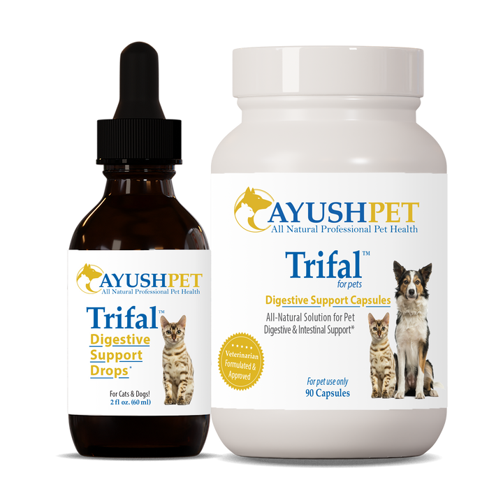 Ayush Herbs Trifal Digestive Support Pet 90 Tablets