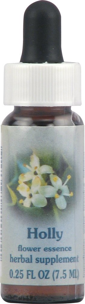 Flower Essence Services Goldenrod Dropper 1oz - FS0242