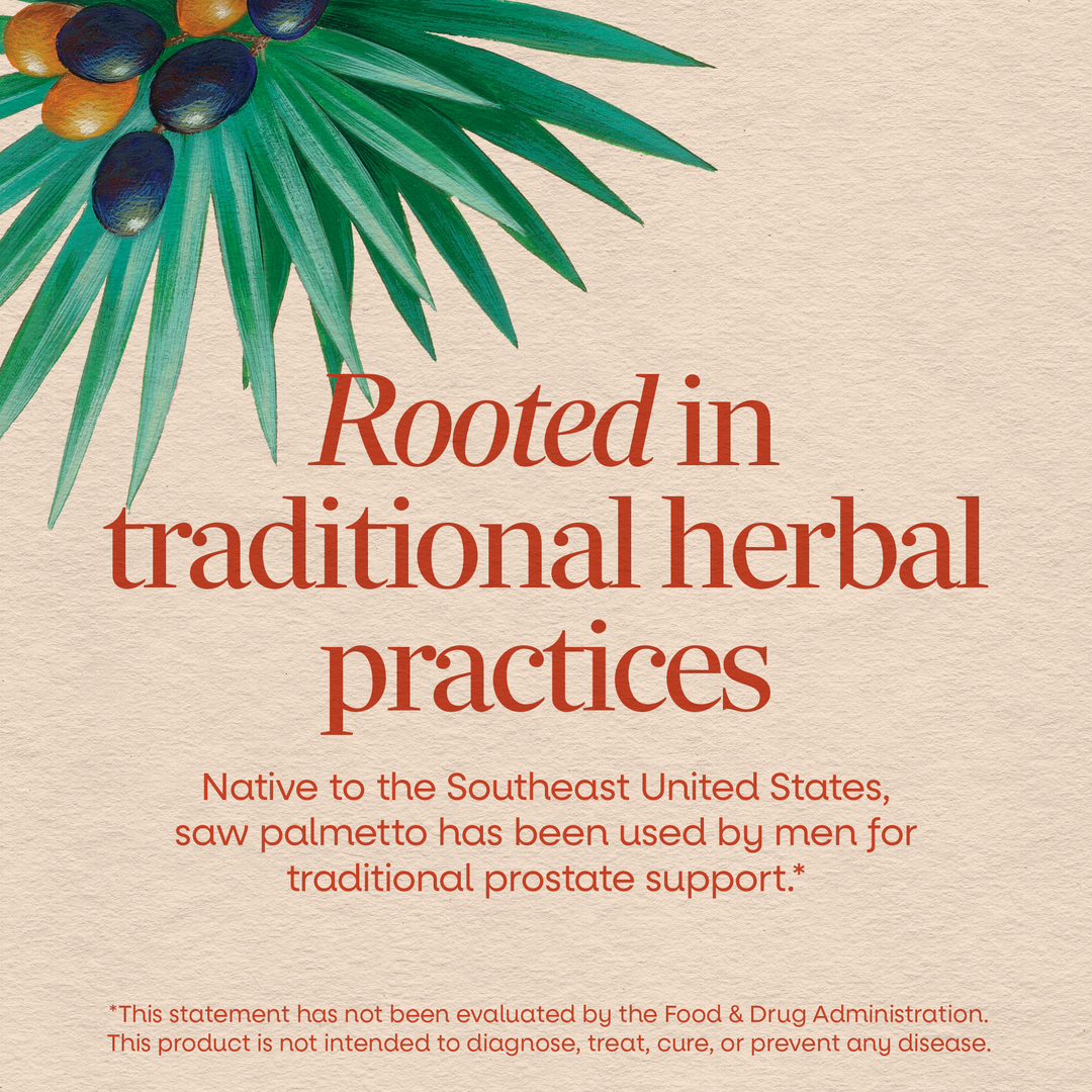 Nature's Way Saw Palmetto Berries 100 Vcaps