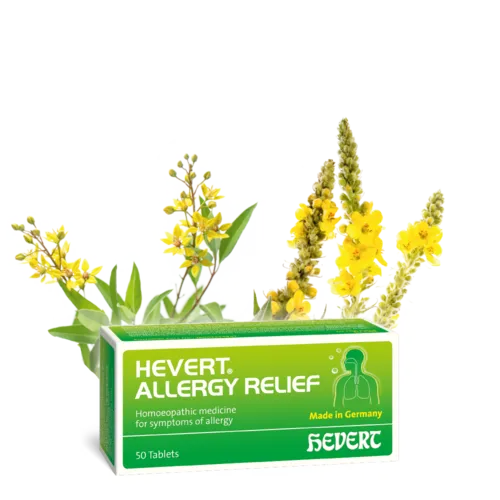 Hevert Allergy Relief 100 Tablets
