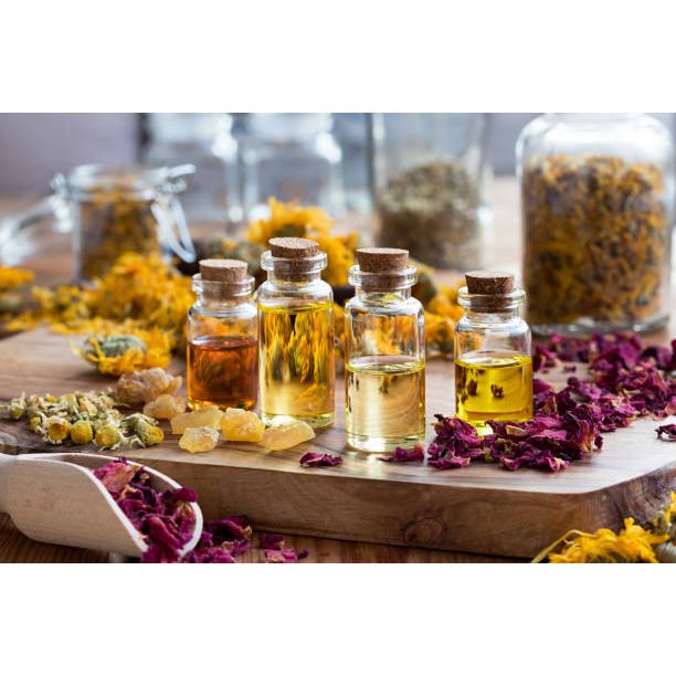 Flower Essence Services Fawn Lily Dropper 1/4 Ounce - FS0132 - 4 Pack