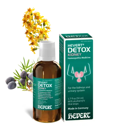 Hevert Detox Kidney 50ml