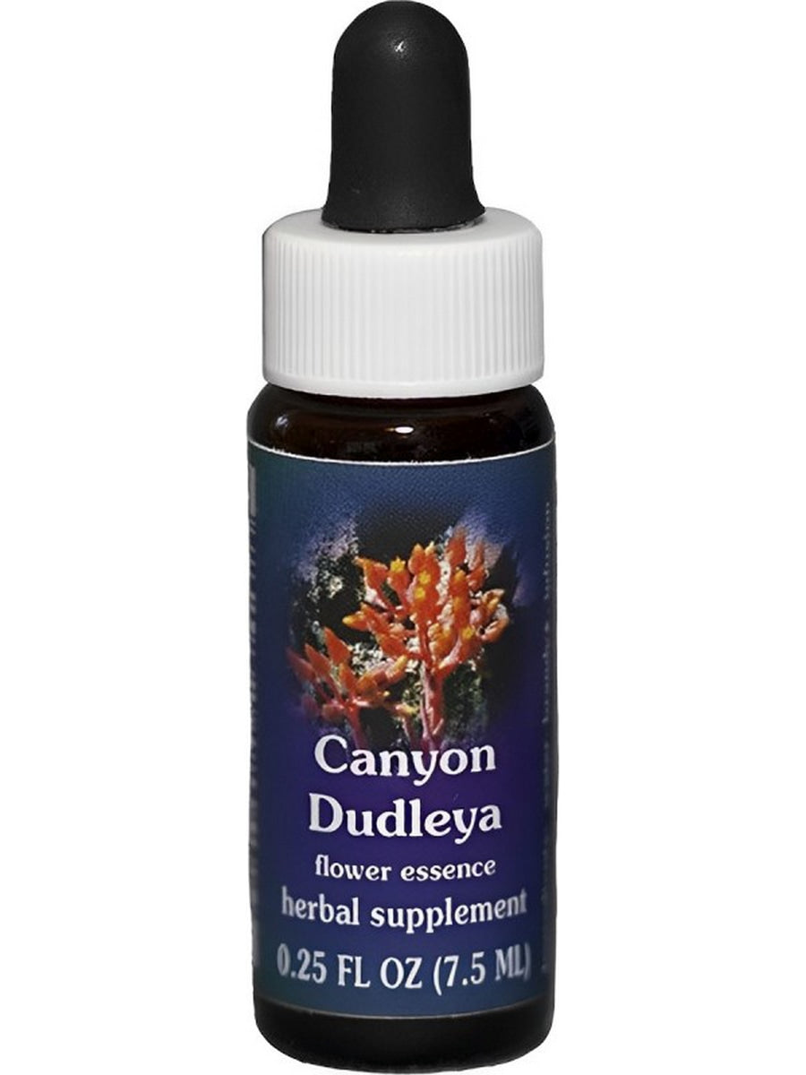 Flower Essence Services Canyon Dudleya Dropper 1 Ounce