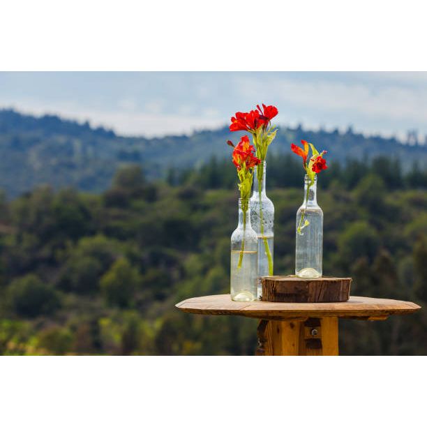 Flower Essence Services Chrysanthemum Dropper 0.25 Ounce - 2 Pack