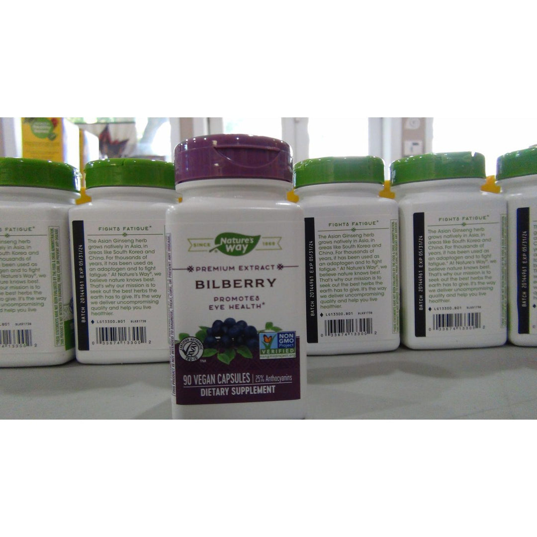 Nature's Way Bilberry Extract 90 Vcaps - 2 Pack