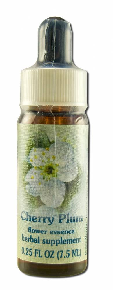 Flower Essence Services Supplement Dropper, Chicory, 0.25 Fluid Ounce