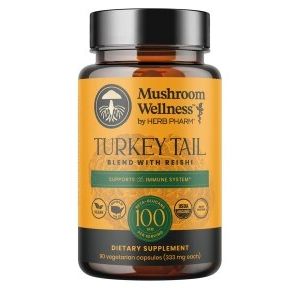 Mushroom Wellness Turkey Tail Blend with Reishi: Organic Turkey Tail & Reishi Mushroom Capsules, Mushroom Powder Supplement, Traditional Immune, Energy & Vitality Support, 90 Vegan Capsules
