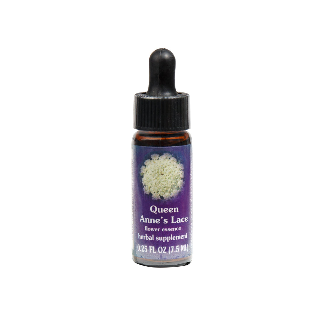 Flower Essence Services - Queen Anne's Lace Flower Essence - 0.25 oz - Pack of 2